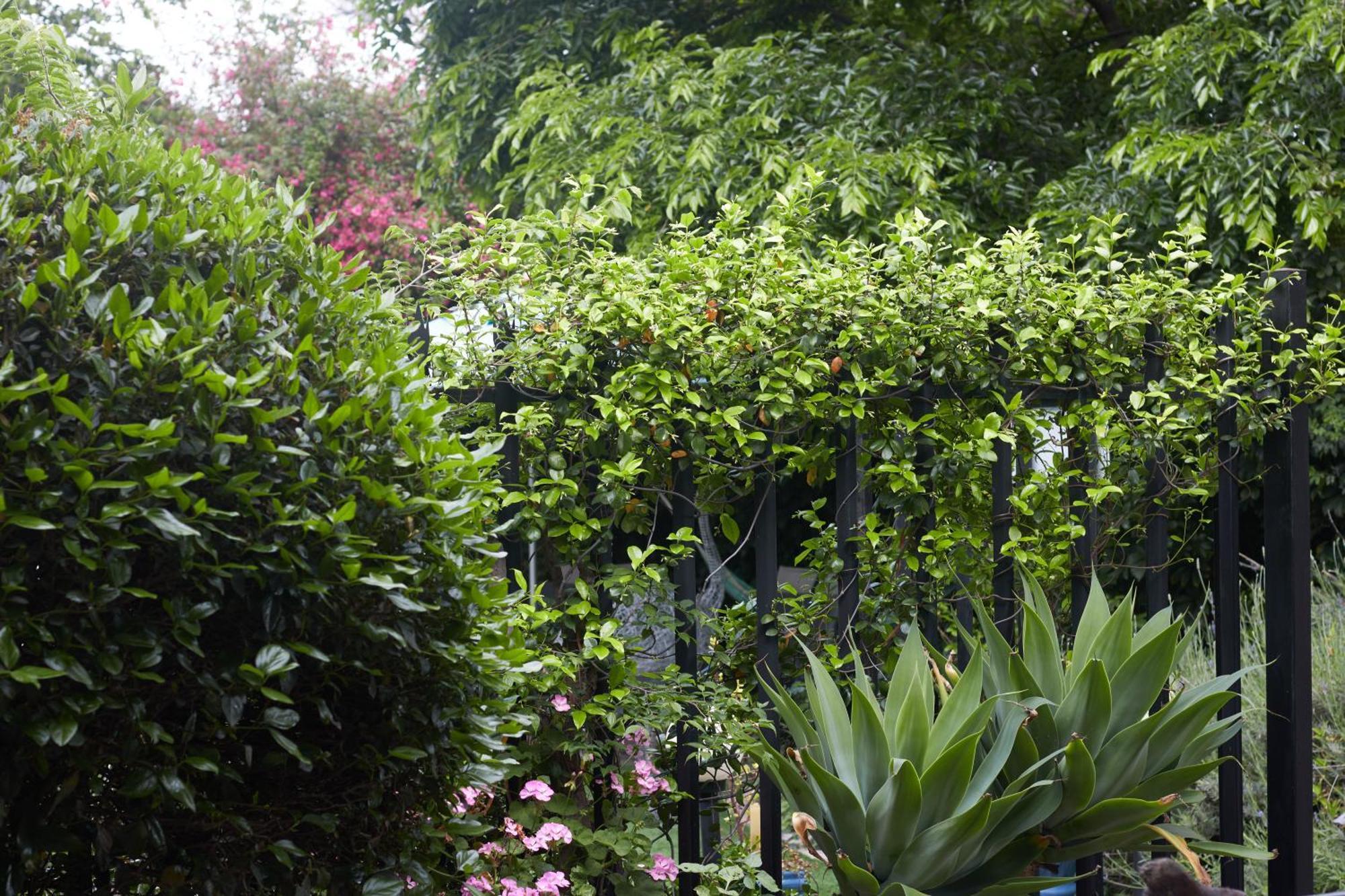 De Akker Guest House Oudtshoorn Εξωτερικό φωτογραφία